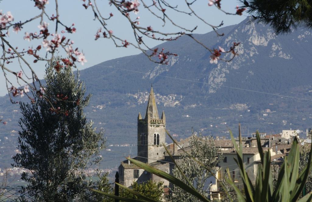 Le Storie di Bambu Guest House Terni Bagian luar foto