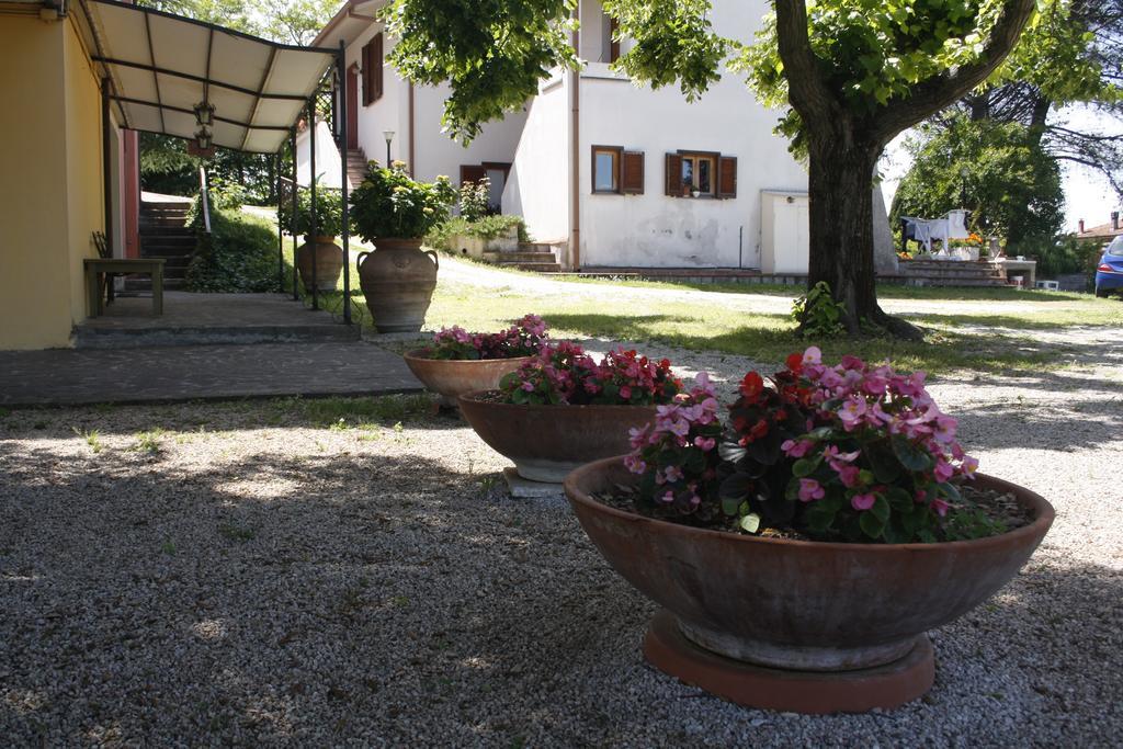 Le Storie di Bambu Guest House Terni Bagian luar foto