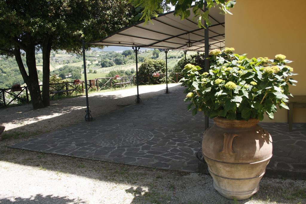 Le Storie di Bambu Guest House Terni Bagian luar foto