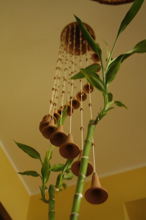 Le Storie di Bambu Guest House Terni Bagian luar foto