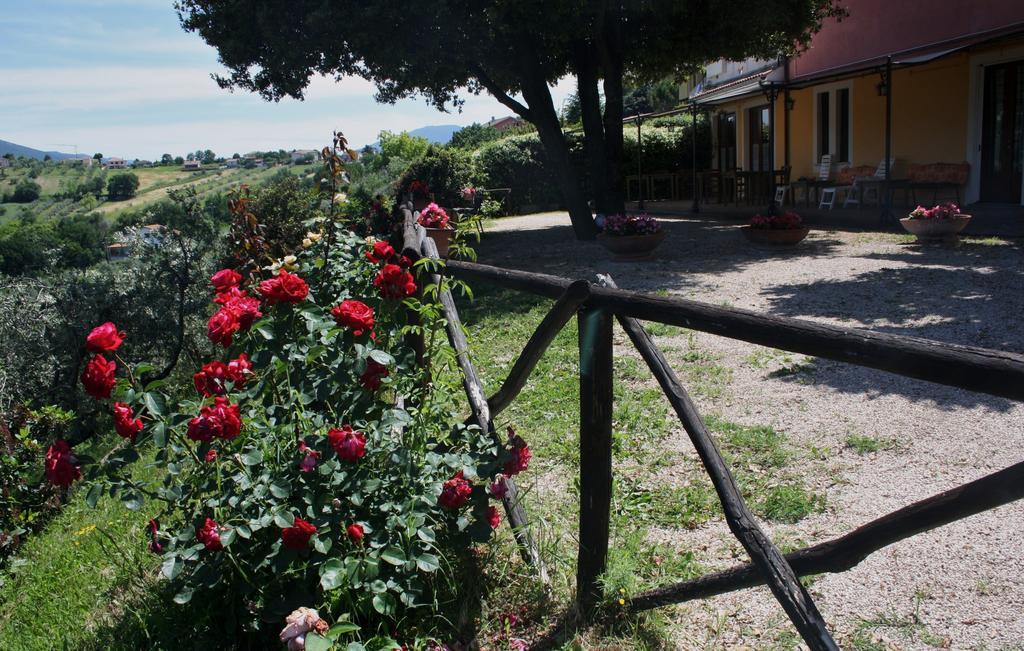 Le Storie di Bambu Guest House Terni Bagian luar foto