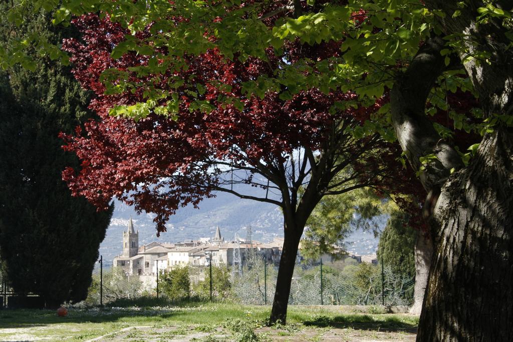 Le Storie di Bambu Guest House Terni Bagian luar foto